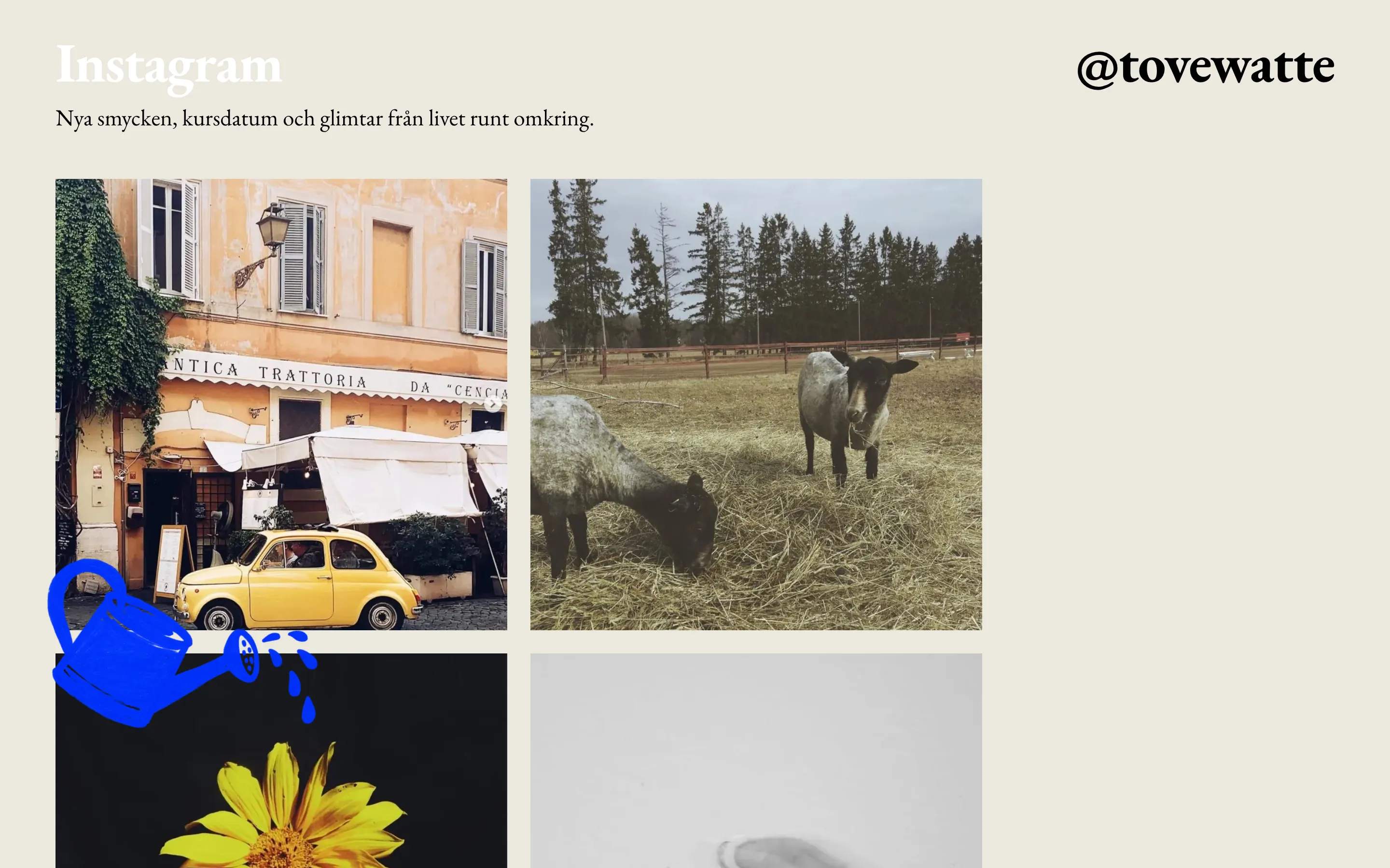 to.w on desktop